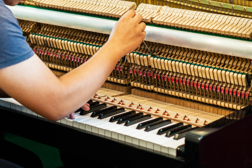 Piano tuner