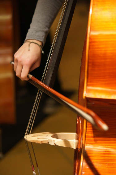 Double Bass Double Bass