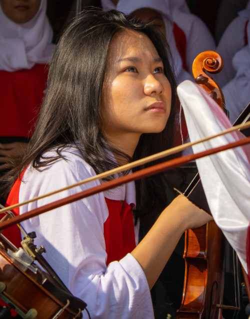 Teen Violin Teacher